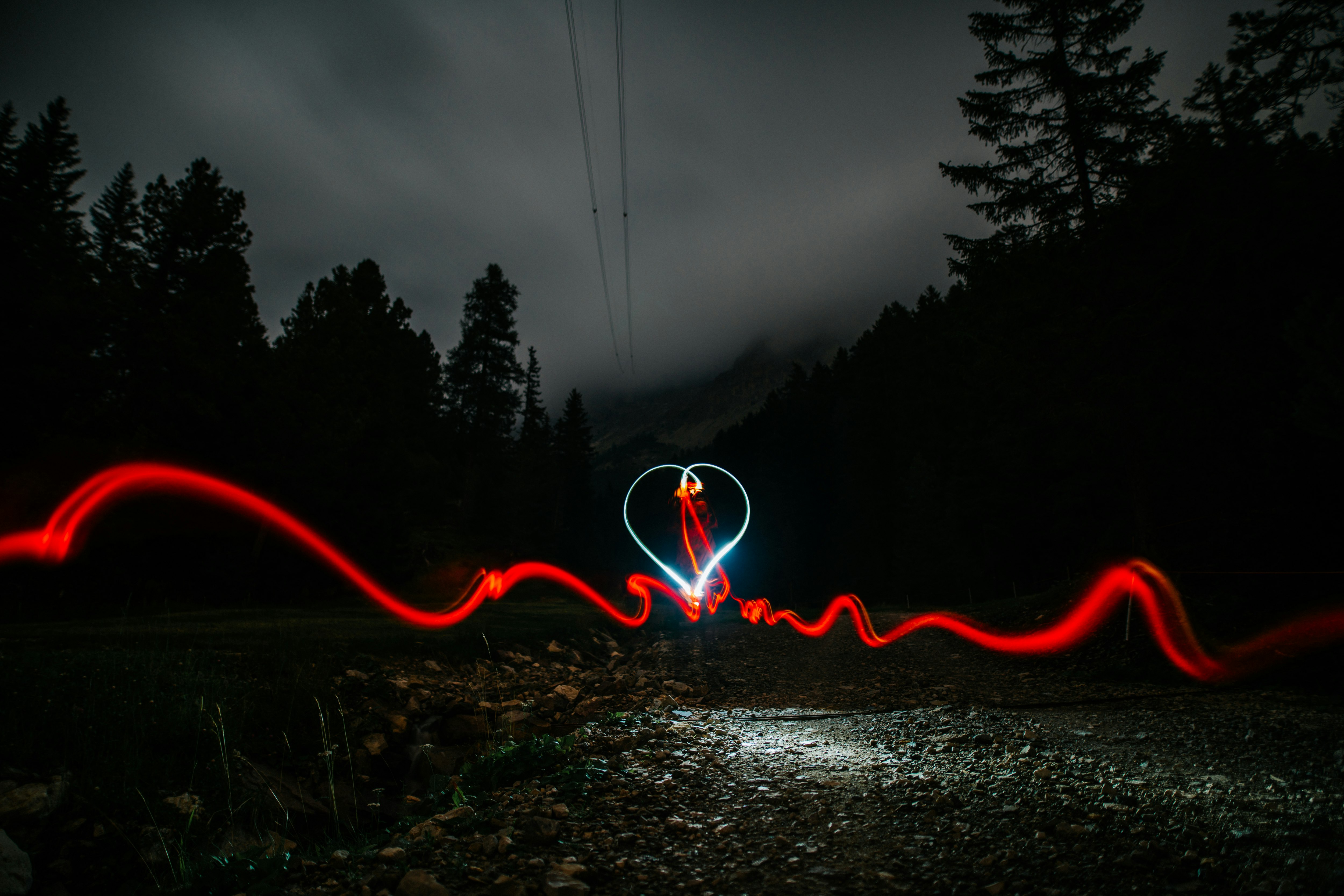 timelapse of heart shape with silhouette of trees